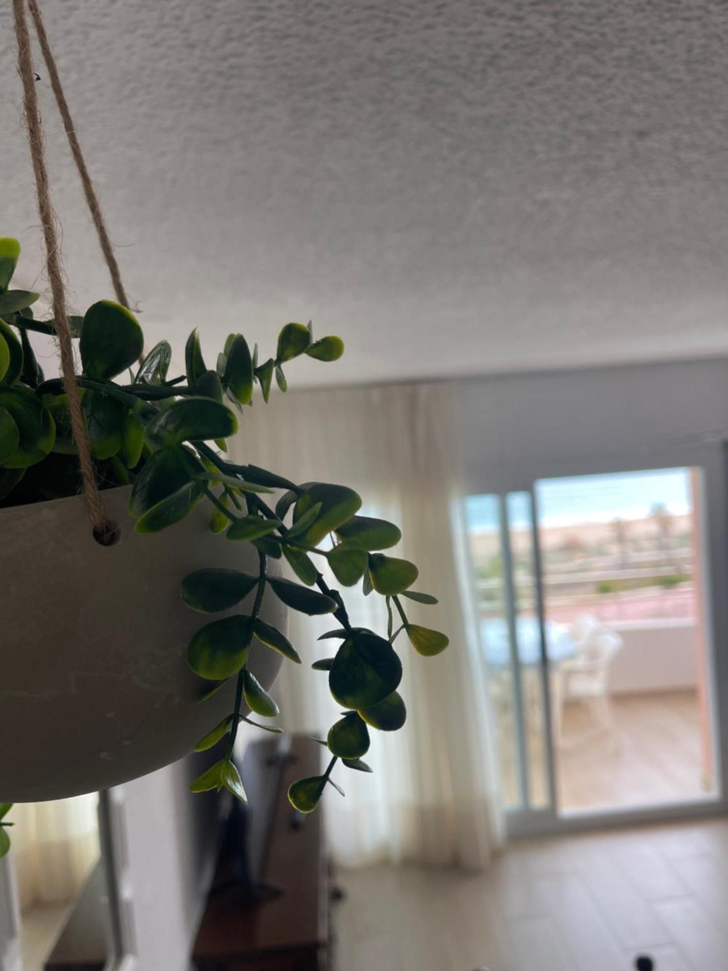 PeñíscolaPenismar 67公寓 外观 照片